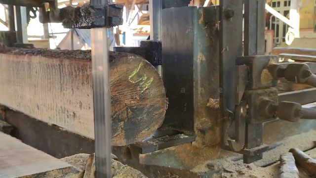 Amazing Process Of Sawing And Cutting Pine Wood || #Sawmill