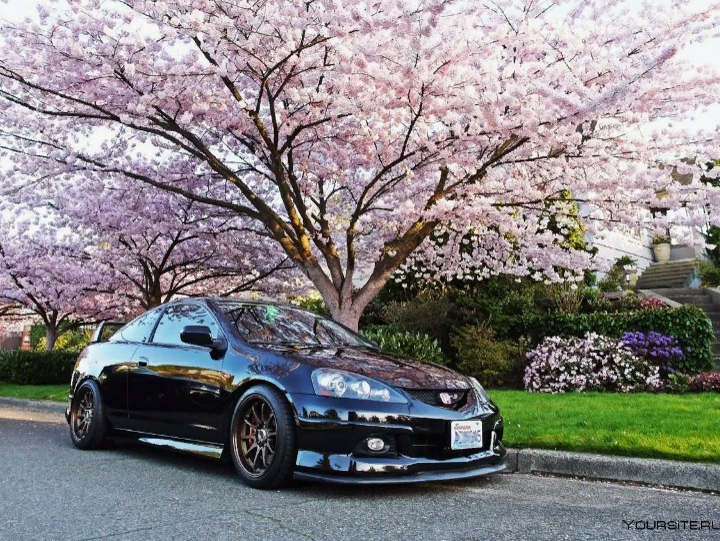 АВТОРЫНОК СИТУАЦИЯ⁉️? 2️⃣0️⃣2️⃣4️⃣ ЭТО ВСЁ ? НАХОДКА смотреть онлайн