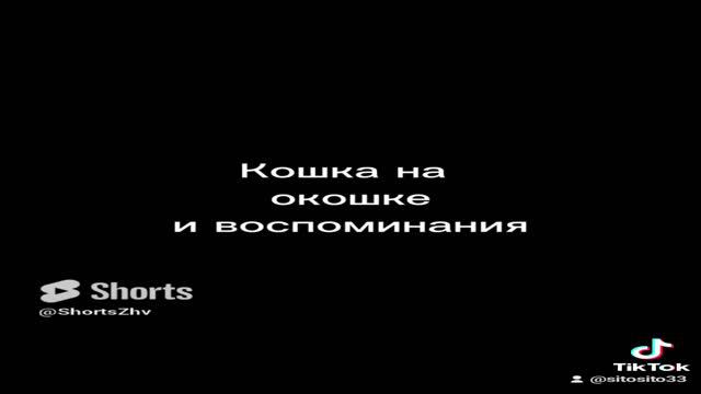 respect 3108240046 #asrm #jarelik #travel #remix смотреть онлайн