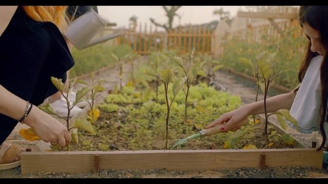 Можно ли работать в церковные праздники Вербное воскресенье Пасха Рождество смотреть онлайн