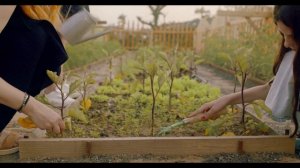 Можно ли работать в церковные праздники  Вербное воскресенье Пасха Рождество