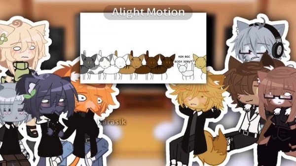 -Реакция Котов Воителей на «Коты Воители в двух словах»:Karasik@Pixie_Bullseye