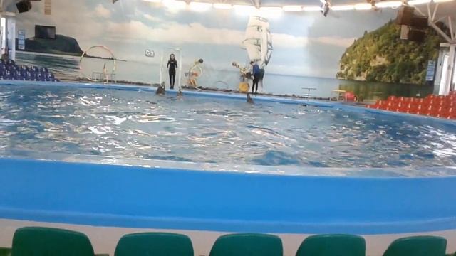 ДЕЛЬФИНАРИЙ!МИНСК!ЗАКЛЮЧЕНИЕ! ВСЕХ ПРИГЛАШАЮ К НАМ)) смотреть онлайн