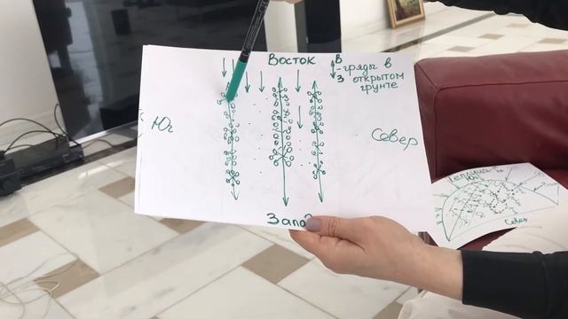 ?Ориентирование грядок. Разница в ориентировании гряд в открытом грунте и теплице. смотреть онлайн