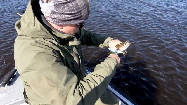 Щука на BIG BAIT или JERK BAIT, что лучше!? смотреть онлайн