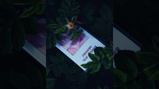 Peonies - Don't (Thank You, Dasha) / Не надо (спасибо, Даша) смотреть онлайн