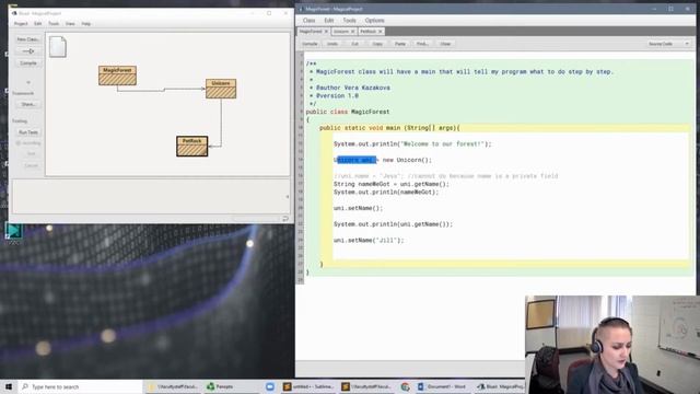 Java example of classes, instances, fields, methods, and constructors. смотреть онлайн