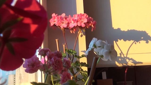 Как устроить пижамную вечеринку дома? DIY #пижамнаявечеринка смотреть онлайн