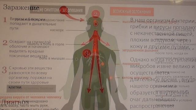Коронавирус и оздоровительная система В. В. Караваева. А. Белов 1 апреля 2020 смотреть онлайн