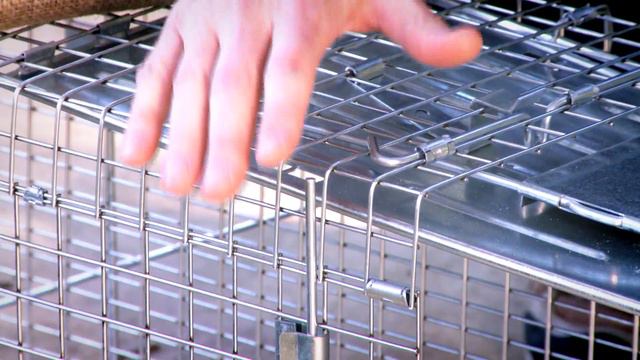 Feral Cat Traps - Havahart.com смотреть онлайн