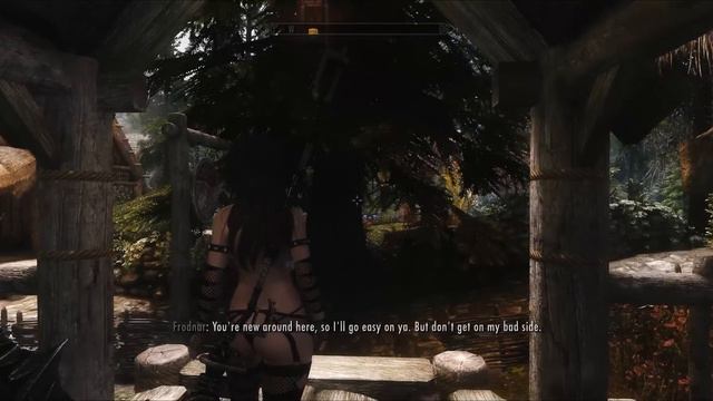 Skyrim: Arin - Custom Voiced Follower