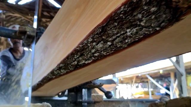 woodworking. gergaji kayu pinus disawmill