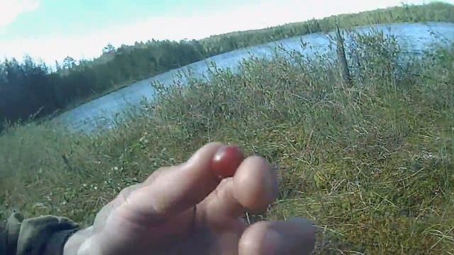 Урзуга (Белое озеро) смотреть онлайн