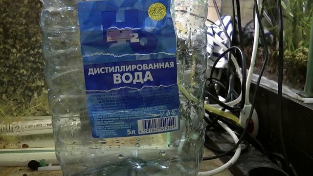 Нерест барбуса, первый опыт смотреть онлайн