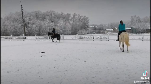 тренировка