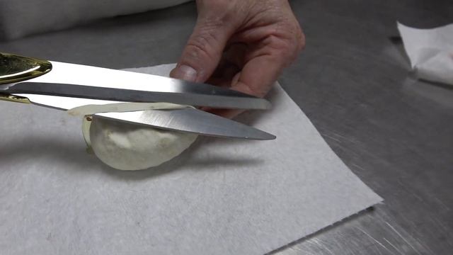 The Real Combo Enhancer Ball Python Clutch! The Missing Footage! смотреть онлайн