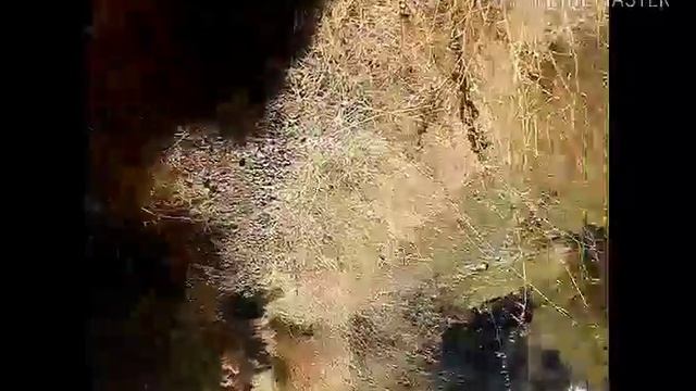 Foi com os meus amigos a um bairro deu ruim смотреть онлайн