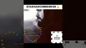 Go'zalim asalim sevmiman man sani-_-hammasidan_bir_shingil