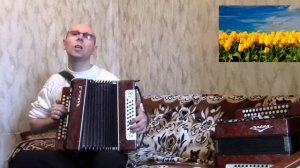 «Жёлтые тюльпаны».(Н. Королёва).Гармонь.
