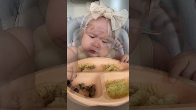 Пшеница (макароны) - аллерген❕ #самоприкорм #blw #прикорм #первыйприкорм #babyledweaning #6months