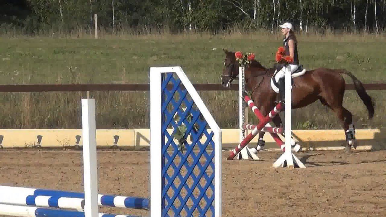 Фрося конкур 28 августа 2013