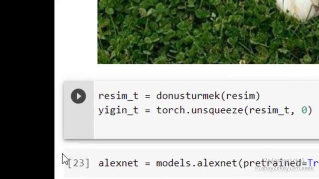 PyTorch - TorchVision ile Köpek Cinslerini Tespit Etme смотреть онлайн