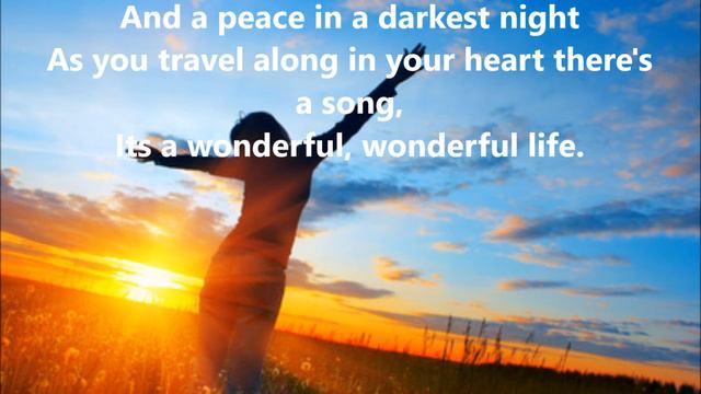 It's A Wonderful, Wonderful Life - Revised