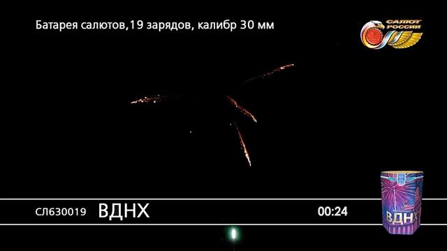 СЛ630019 ВДНХ смотреть онлайн