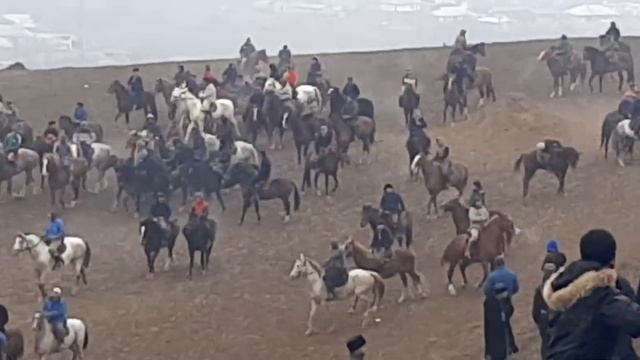 31 12 2022й Бузкаши Султонобод Абдулмажид чавандоз смотреть онлайн