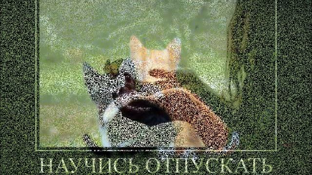 самое клёвое фото смотреть онлайн