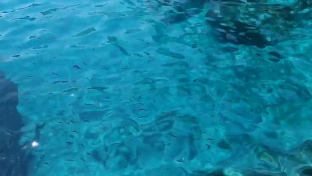 380. 50 МИНУТ ШУМА МОРЯ ДЛЯ СНА | НАНДИ И БАСМАКИ | relax смотреть онлайн