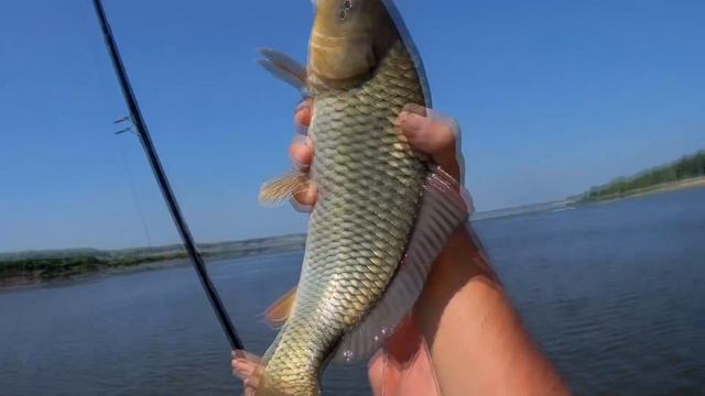 Ахтуба 18 Лето