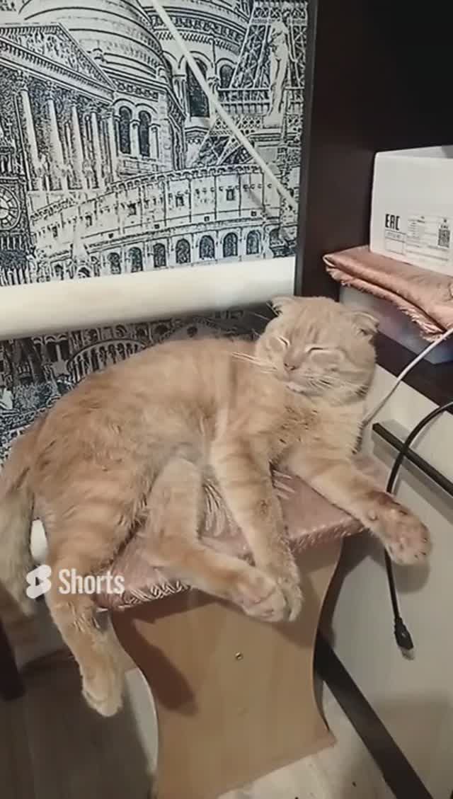 Балдини??? Архив от 11.08.2022г. смотреть онлайн