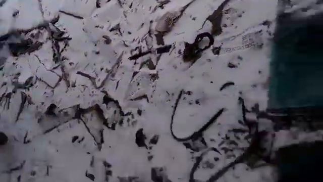 Дельфинарий г. Донецк 25 Марта 2018 год. смотреть онлайн