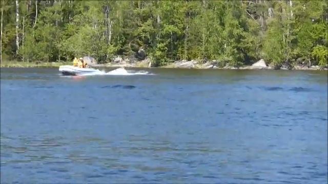 Dingo 34 F под Yamaha 8 CMHS смотреть онлайн