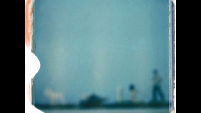 Lotus -11- Orchids смотреть онлайн