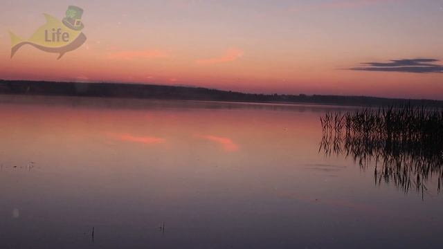 Наконец-то толковые советы по ловле лещ в июле! Как ловить леща в июле? смотреть онлайн