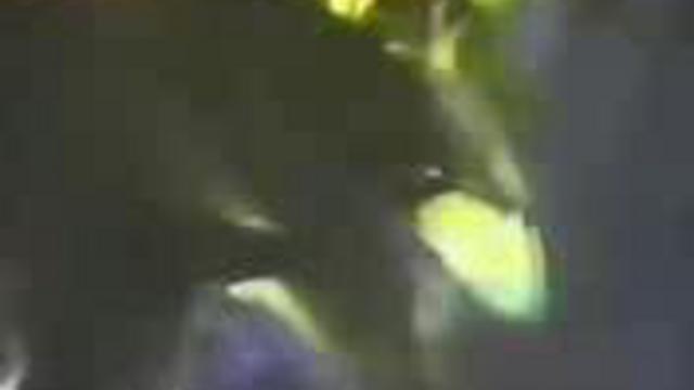 ВИНГ ЧУНЬ (VingChunWay2.) смотреть онлайн