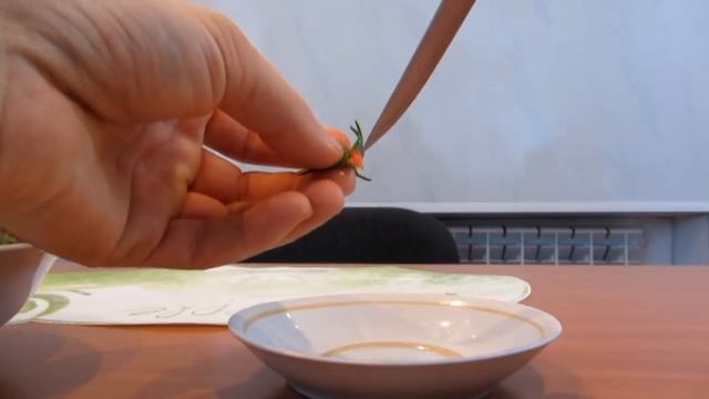 помидоры в доме в не сезон, Солероссо и Балконное чудо смотреть онлайн