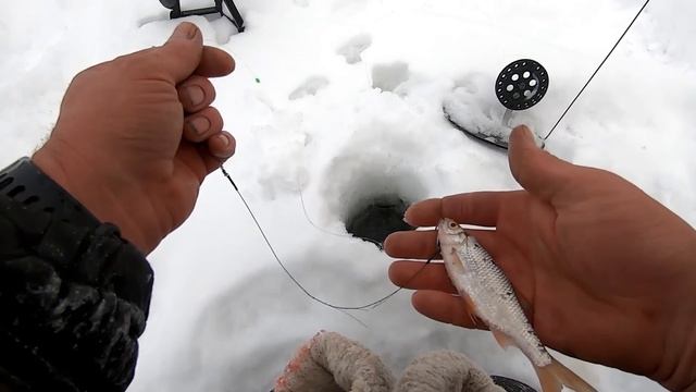 КЛЁВ ЩУКИ В МЕТЕЛЬ..! РЫБАЛКА НА ЖЕРЛИЦЫ - День Второй! смотреть онлайн