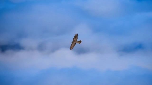 Песня "Осень" смотреть онлайн