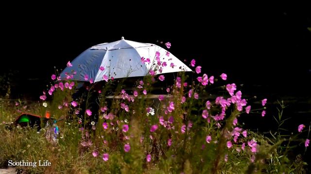 Ваше сердце нужно успокоить! Эта бессмертная божественная музыка поможет успокоить ваше сердце ! смотреть онлайн