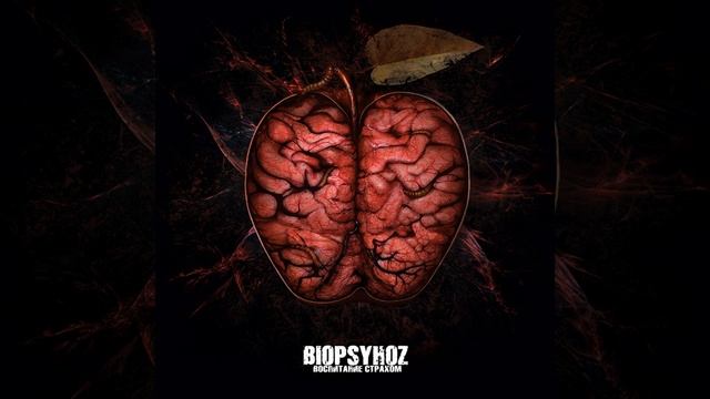 Скрипт смотреть онлайн