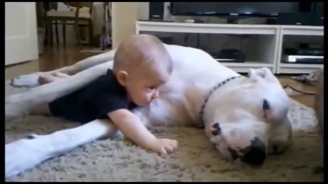 Собаки и дети)) смотреть онлайн