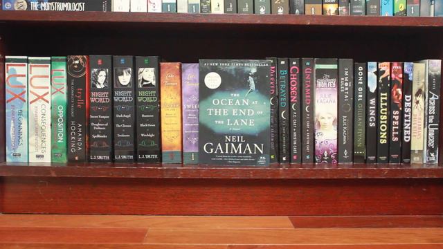 BOOKSHELF TOUR 2016 смотреть онлайн