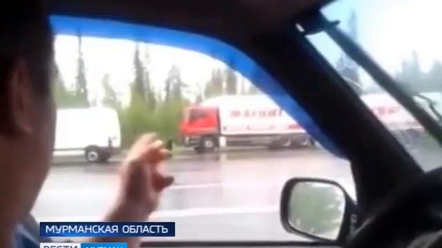 В Мурманской области медведи выходят к людям смотреть онлайн
