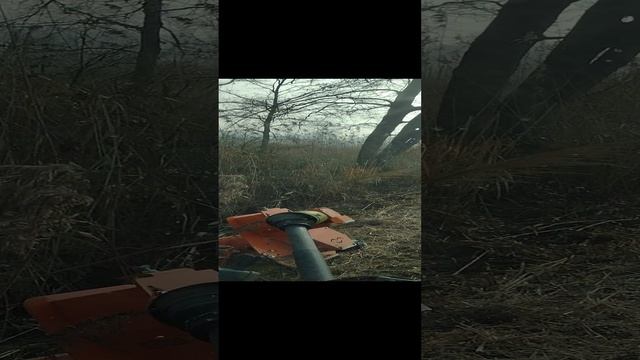 Altro Giorno, Stesso Lavoro ??????