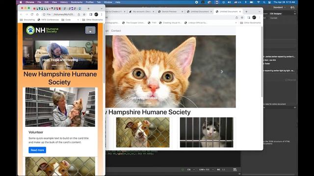 Bootstrap in Dreamweaver for beginners (Part 2) смотреть онлайн
