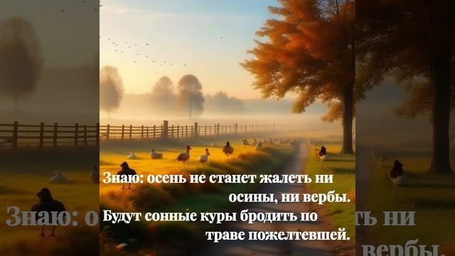 "Там, где горькие травы пьянят непокорные души..." смотреть онлайн