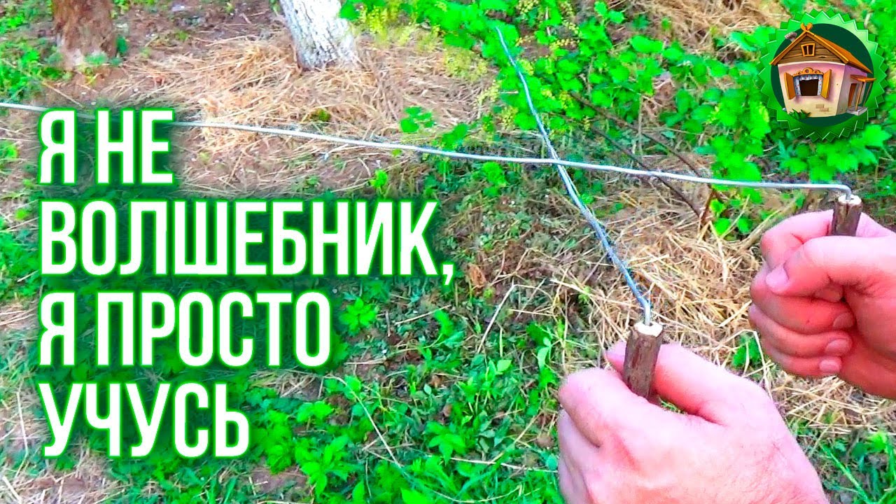 Как найти воду на участке для скважины или колодца. Поиск воды на участке. 81 серия смотреть онлайн